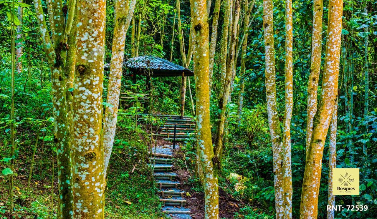 فندق Bosques De La Pradera مانيزاليس المظهر الخارجي الصورة