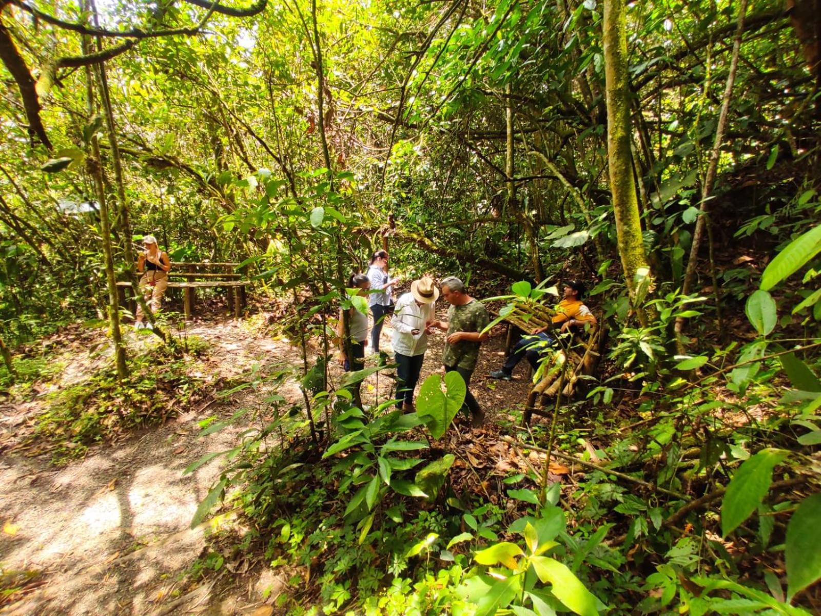 فندق Bosques De La Pradera مانيزاليس المظهر الخارجي الصورة